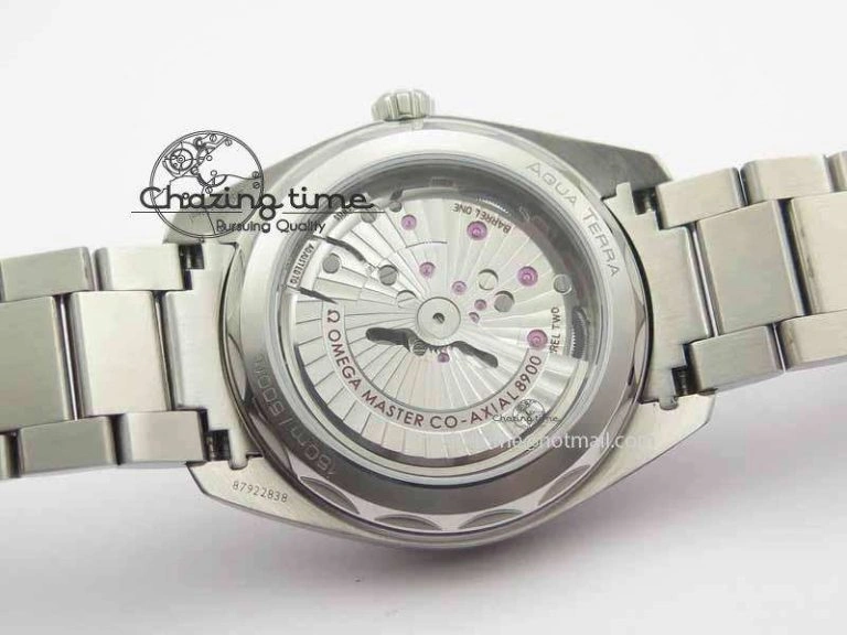Snug 2017 Aqua Terra SS XF Best Edition White Textured Dial On SS Bracelet A 8160