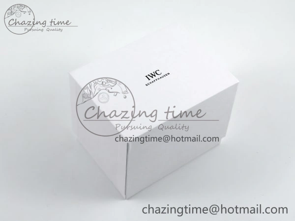 IWC BLACK TRAVEL BOX HighQuality 4191