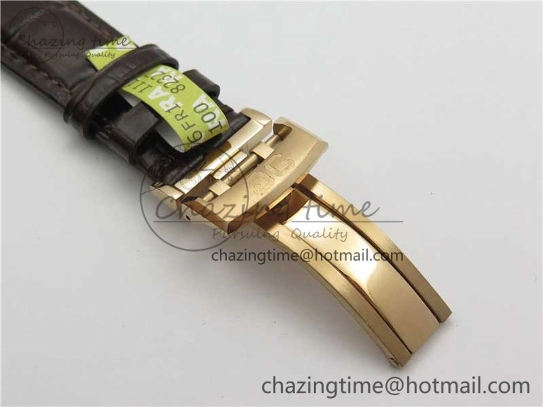 PanoInverse 42mm RG TZF Best Edition Silver Black Dial on Brown Leather Strap A23J WellDesigned 6624