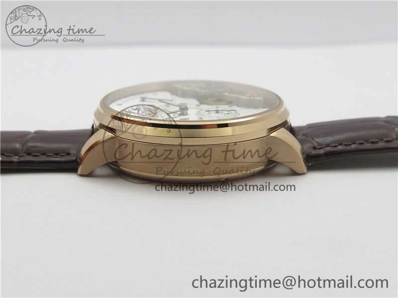 PanoInverse 42mm RG TZF Best Edition Silver Black Dial on Brown Leather Strap A23J WellDesigned 6624