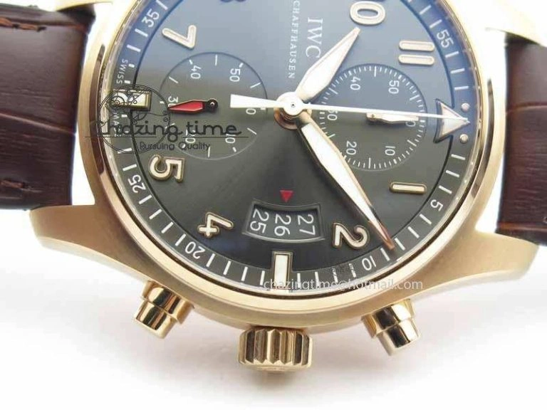 Pilot Chrono RG 3878 V6F Best Edition Gray Dial On Brown Leather Strap A Popular 7254
