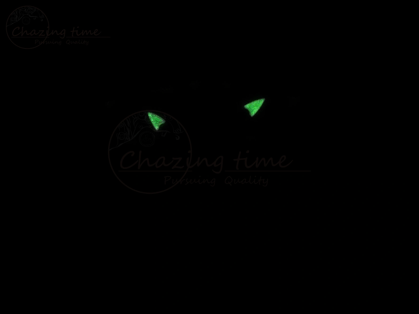 Chic RM026 Green Transparent Tourbillon RM Best Edition Panda Skeleton Dial on Rubber Strap 9333
