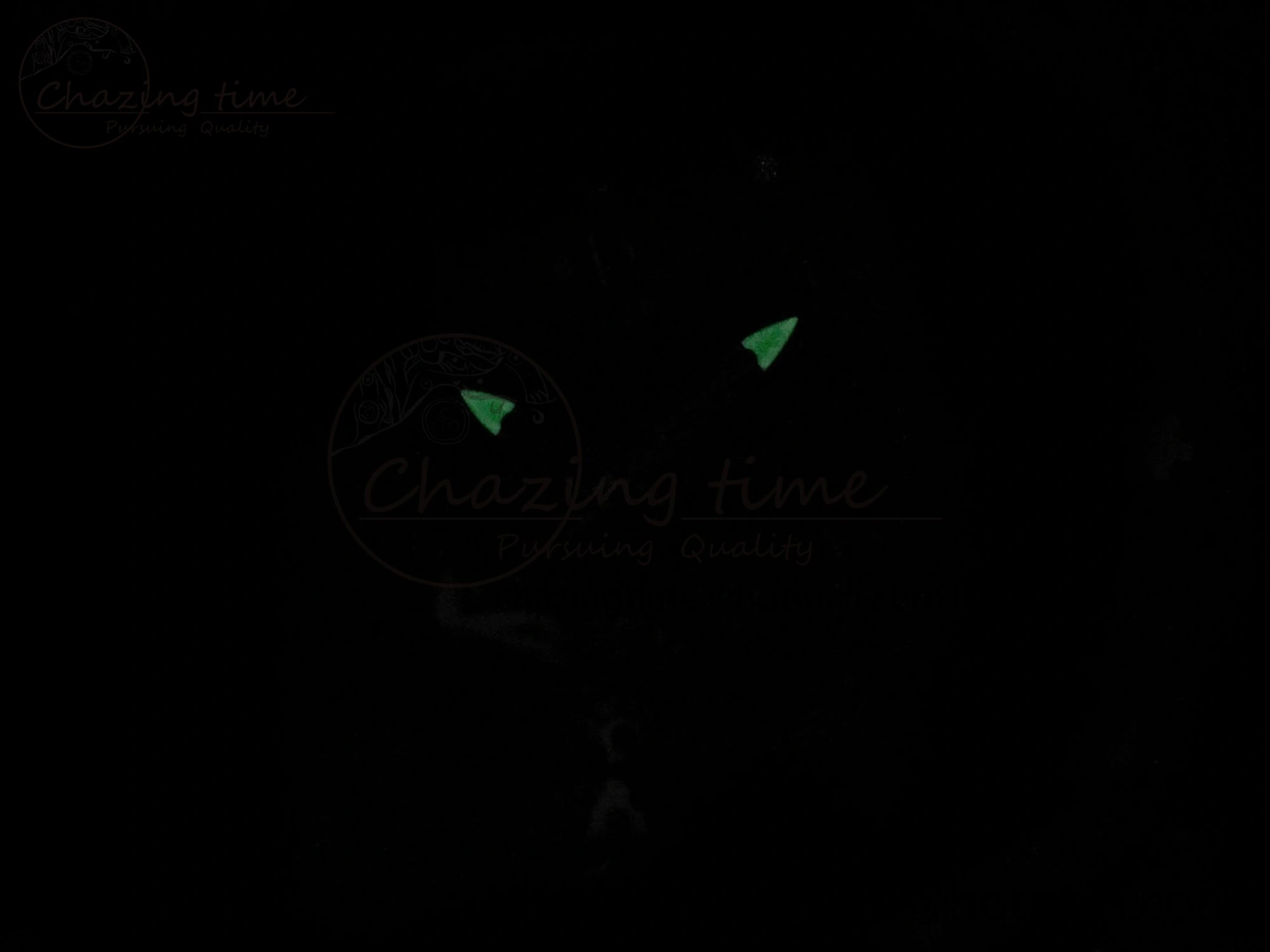 RM57 Green Transparent Tourbillon RMF Best Edition Silver Dragon Eagle Dial on White Rubber Strap WellDesigned 9299